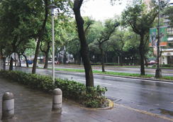 town_rain